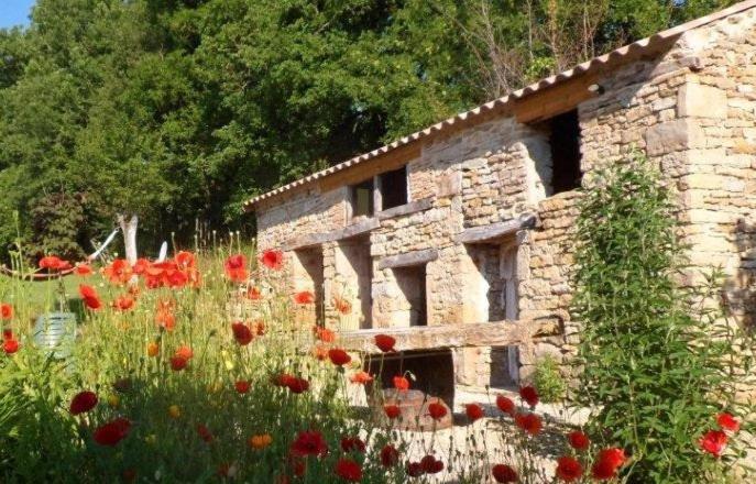 Le Mas De Carrie Bed & Breakfast Parisot  Exterior photo